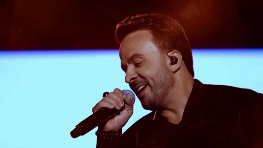 Luis Fonsi durante su concierto en Toledo Luis Fonsi durante su concierto en Toledo