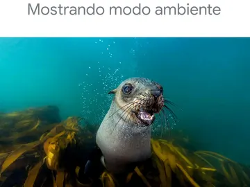 Modo ambiente Chromecast Modo ambiente Chromecast