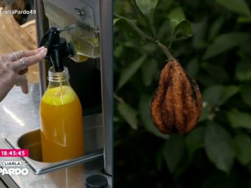 Imagen del contraste de la naranja en nuestro país: grandes beneficios por el zumo en supermercados, mientras en el campo se pudren Imagen del contraste de la naranja en nuestro país: grandes beneficios por el zumo en supermercados, mientras en el campo se pudren