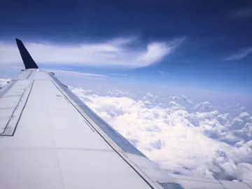 vuelo vuelo