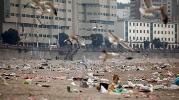 Gaviotas sobrevuelan una playa llena de basura tras la noche de San Juan
