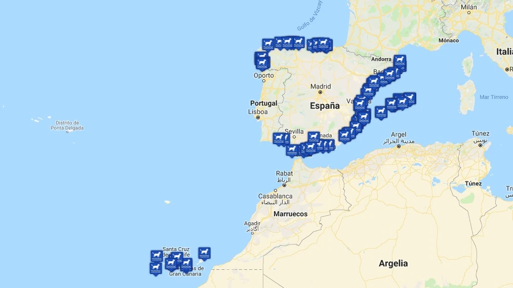 Estas son las playas españolas para perros de 2019: consúltalas en el mapa interactivo