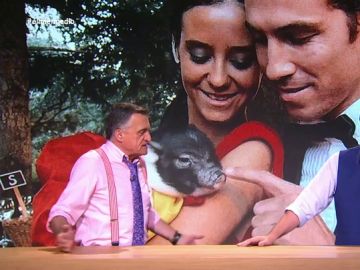 Wyoming, sobre el cerdo vietnamita que regalaron a Victoria Federica: "Es un cerdo aristocrático, lo de prohibido no va con ellos" Wyoming, sobre el cerdo vietnamita que regalaron a Victoria Federica: "Es un cerdo aristocrático, lo de prohibido no va con ellos"