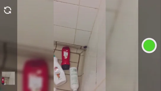 Una cucaracha en el centro de alto rendimiento de Sevilla Una cucaracha en el centro de alto rendimiento de Sevilla