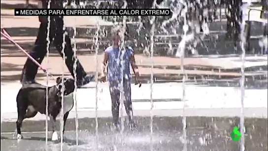 Piscina gratis para ancianos, toldos y dieta helada para animales: las medidas extraordinarias frente a la ola de calor Piscina gratis para ancianos, toldos y dieta helada para animales: las medidas extraordinarias frente a la ola de calor