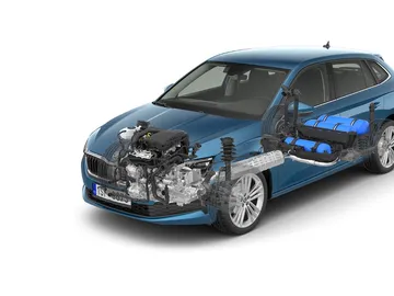 Skoda Scala  Skoda Scala