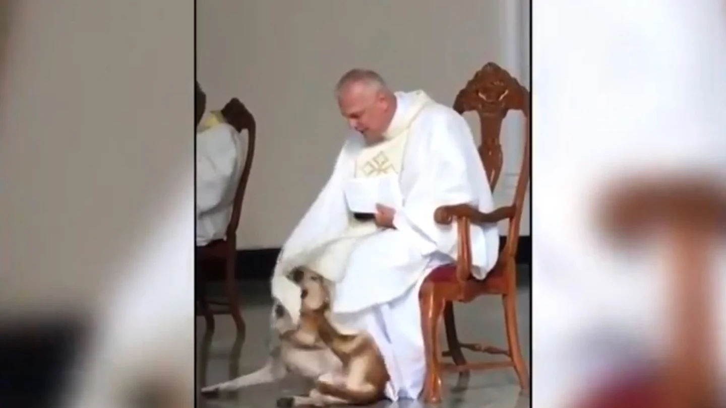 El 'tierra trágame' de un cura cuando su perro quiere jugar con él en plena misa El 'tierra trágame' de un cura cuando su perro quiere jugar con él en plena misa