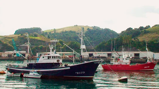 Imagen de dos barcos pesqueros en Bizkaia Imagen de dos barcos pesqueros amarrados en el puerto de la localidad vizcaína de Bermeo (Vizcaya)