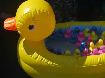 Imagen de archivo de un pato hinchable Imagen de archivo de un pato hinchable