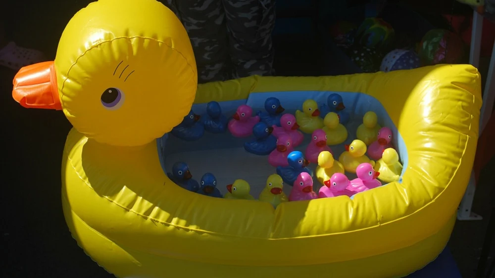 Imagen de archivo de un pato hinchable Imagen de archivo de un pato hinchable