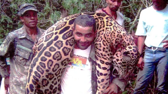 Temístocles Barbosa Freire, el cazador que abatió a más de 1.000 jaguares Temístocles Barbosa Freire, el cazador que abatió a más de 1.000 jaguares.