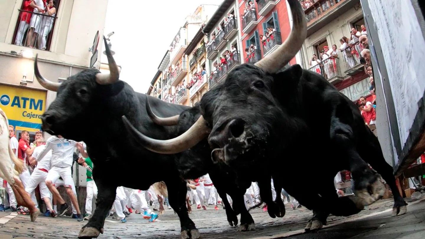Imagen de los toros del primer encierro de San Fermín 2019 Imagen de los toros del primer encierro de San Fermín 2019
