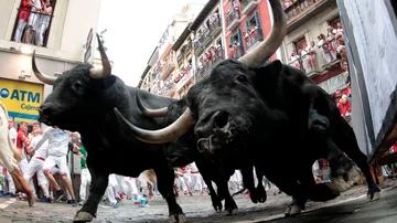 Imagen de los toros del primer encierro de San Fermín 2019
