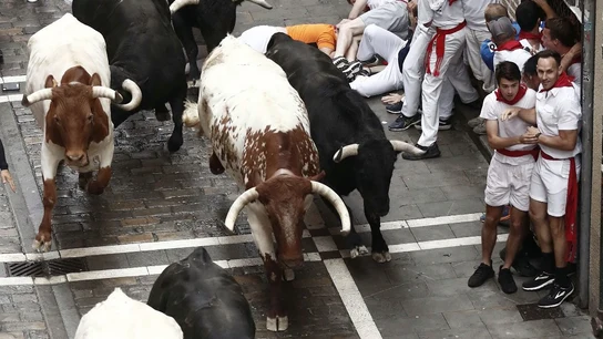 Los toros de la ganadería salmantina de Puerto de San Lorenzo, en la calle Estafeta Los toros de la ganadería salmantina de Puerto de San Lorenzo, en la calle Estafeta