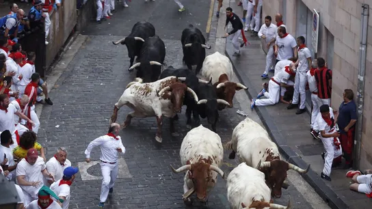 Los toros de la ganadería salmantina de Puerto de San Lorenzo a su paso por la Cuesta de Santo Domingo Los toros de la ganadería salmantina de Puerto de San Lorenzo a su paso por la Cuesta de Santo Domingo
