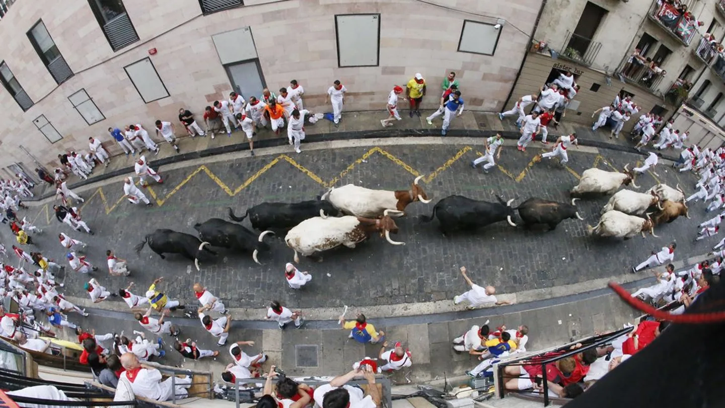 Los toros de la ganadería salmantina de Puerto de San Lorenzo a su paso por la Cuesta de Santo Domingo Los toros de la ganadería salmantina de Puerto de San Lorenzo a su paso por la Cuesta de Santo Domingo