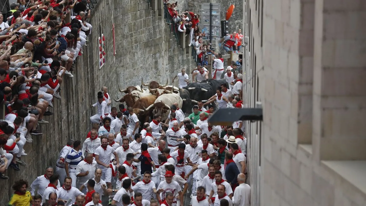 Los toros de Puerto de San Lorenzo abren los encierros de los Sanfermines 2019 Los toros de Puerto de San Lorenzo abren los encierros de los Sanfermines 2019