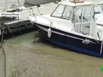 Barcos del puerto de Conil después de una bajada del nivel del mar Barcos del puerto de Conil después de una bajada del nivel del mar