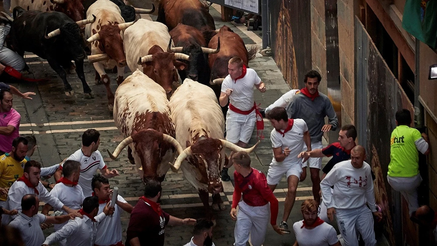 Los toros de la ganadería gaditana de Cebada Gago enfilan la calle Estafeta durante el segundo encierro de los Sanfermines 2019 Los toros de la ganadería gaditana de Cebada Gago enfilan la calle Estafeta durante el segundo encierro de los Sanfermines 2019