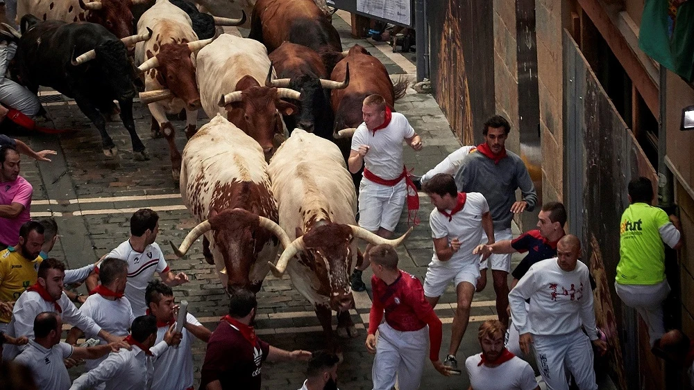 Los toros de la ganadería gaditana de Cebada Gago enfilan la calle Estafeta durante el segundo encierro de los Sanfermines 2019