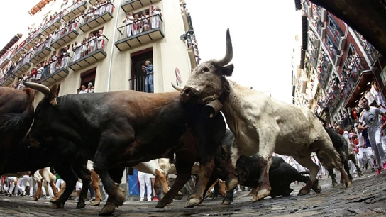 Los toros de la ganadería gaditana de Cebada Gago a su paso por la curva de Mercaderes durante el segundo encierro de los Sanfermines 2019 Los toros de la ganadería gaditana de Cebada Gago a su paso por la curva de Mercaderes durante el segundo encierro de los Sanfermines 2019