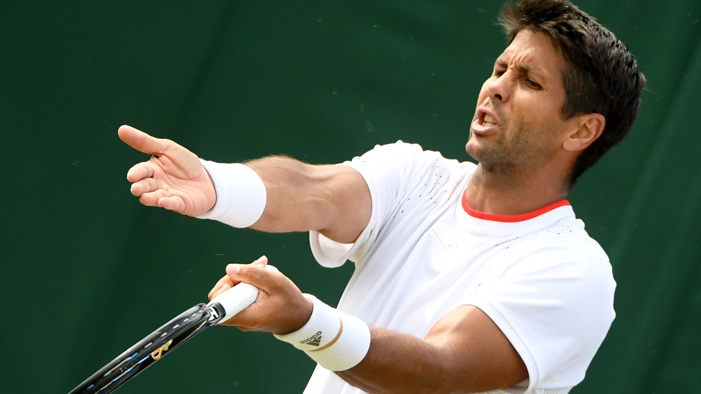 Fernando Verdasco protesta una acción en su partido