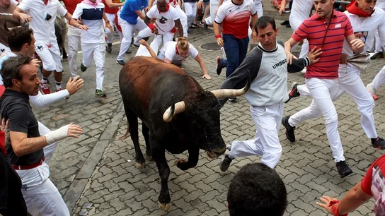 Imagen de San Fermín 2019 Imagen de San Fermín 2019