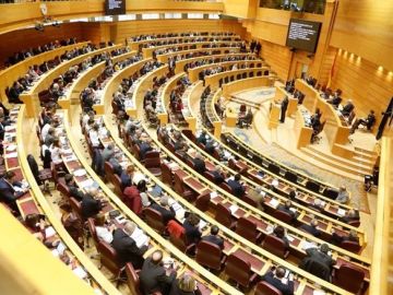 Imagen de una sesión en el Senado Imagen de una sesión en el Senado