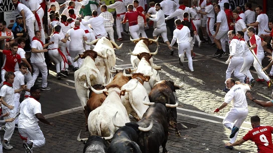 Imagen de los toros corriendo en San Fermín 2019 Imagen de los toros corriendo en San Fermín 2019