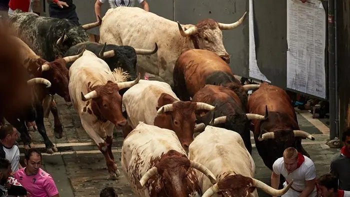 Segundo encierro de San Fermín