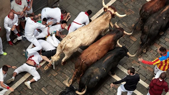 Los toros de la ganadería gaditana de Cebada Gago enfilan la calle Estafeta durante el segundo encierro de los Sanfermines 2019 Los toros de la ganadería gaditana de Cebada Gago enfilan la calle Estafeta durante el segundo encierro de los Sanfermines 2019