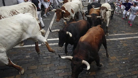 Los toros de la ganadería gaditana de Cebada Gago a su paso por la curva de Mercaderes durante el segundo encierro de los Sanfermines 2019 Los toros de la ganadería gaditana de Cebada Gago a su paso por la curva de Mercaderes durante el segundo encierro de los Sanfermines 2019