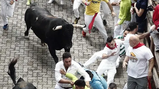 Los toros de la ganadería gaditana de Cebada Gago Los toros de la ganadería gaditana de Cebada Gago