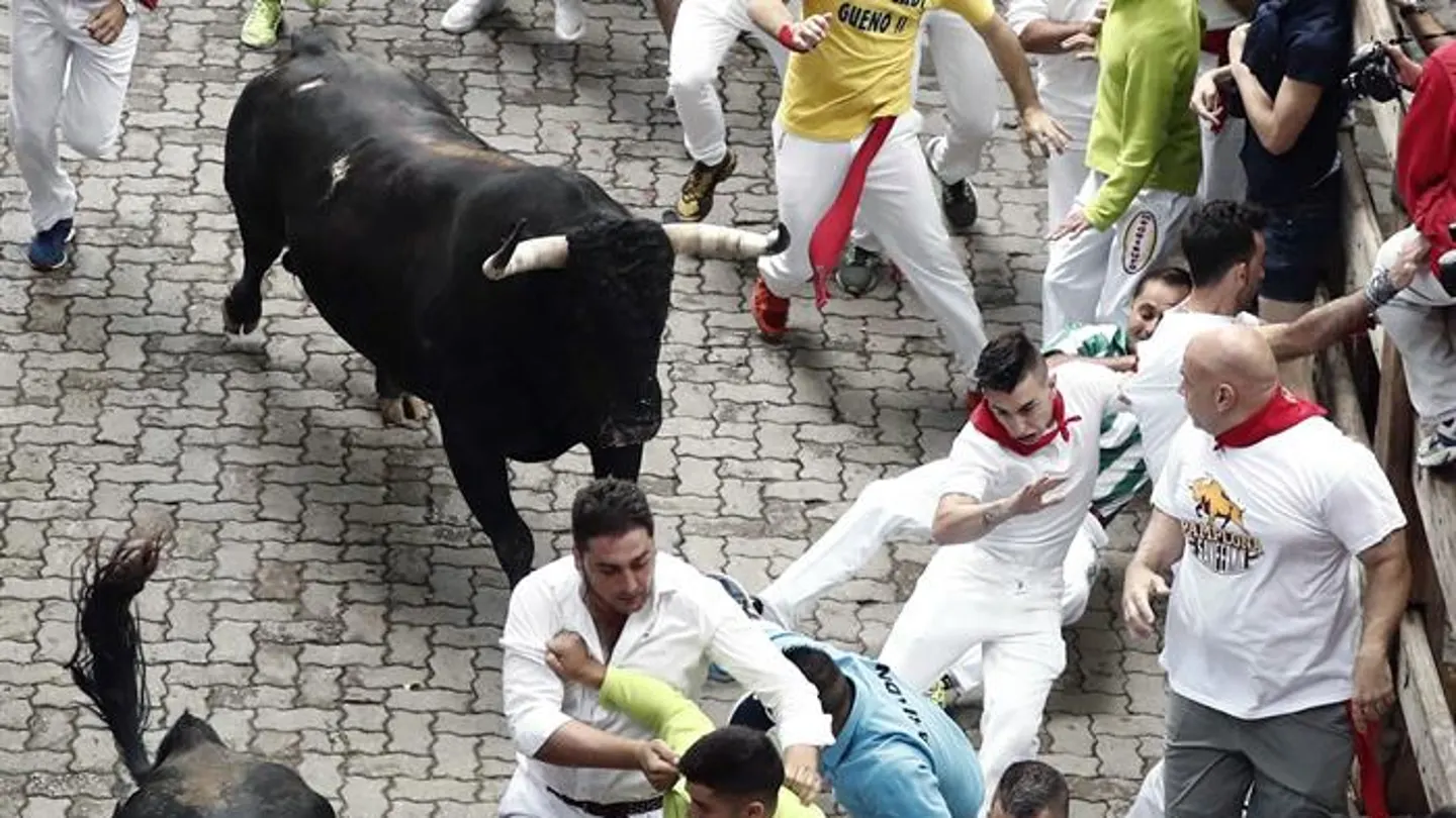Los toros de la ganadería gaditana de Cebada Gago Los toros de la ganadería gaditana de Cebada Gago