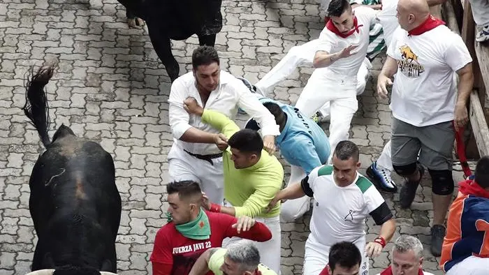 Los toros de la ganadería gaditana de Cebada Gago