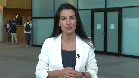 Monasterio pide perdón a Rivera por referirse a Malú pero cree que hay que venir a la política "llorado" Monasterio pide perdón a Rivera por referirse a Malú pero cree que hay que venir a la política "llorado"