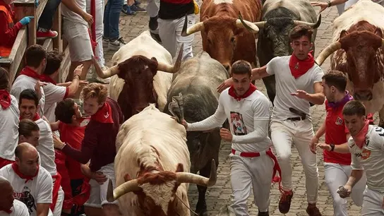 Tercer encierro de San Fermín con los toros de José Escolar Tercer encierro de San Fermín con los toros de José Escolar