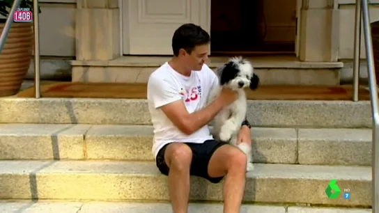 Pedro Sánchez se confiesa en Zapeando: "A mi perrita Turca le encanta la Morgade" Pedro Sánchez se confiesa en Zapeando: "A mi perrita Turca le encanta la Morgade"