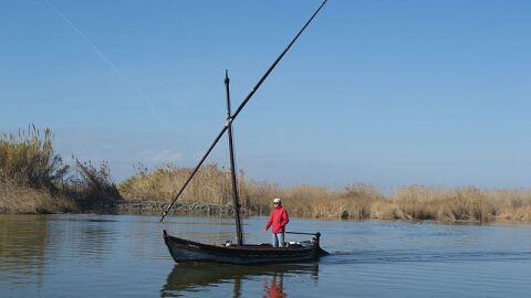 La Albufera 