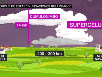 REEMPLAZO STORM SPLITTING REEMPLAZO STORM SPLITTING