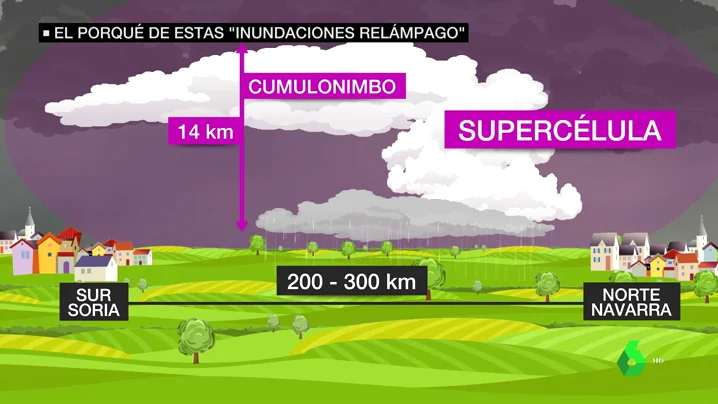 REEMPLAZO STORM SPLITTING