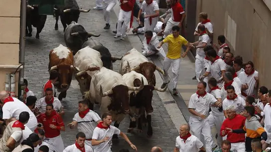 Tercer encierro de San Fermín con los toros de José Escolar Tercer encierro de San Fermín con los toros de José Escolar
