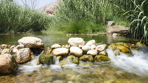 Gestalgar (río Turia)