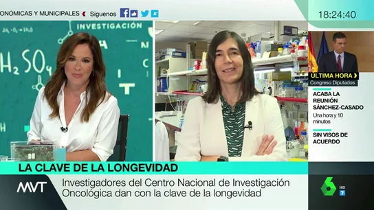 María Blasco explica cómo la ciencia podría alargar la vida: "Potenciamos la telomerasa en ratones y conseguimos prolongar su vida un 40%" María Blasco explica cómo la ciencia podría alargar la vida: "Potenciamos la telomerasa en ratones y conseguimos prolongar su vida un 40%"