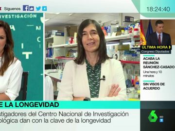 María Blasco explica cómo la ciencia podría alargar la vida: "Potenciamos la telomerasa en ratones y conseguimos prolongar su vida un 40%" María Blasco explica cómo la ciencia podría alargar la vida: "Potenciamos la telomerasa en ratones y conseguimos prolongar su vida un 40%"