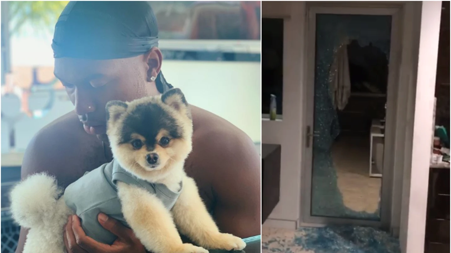 Sturridge denuncia el robo de su perro Sturridge denuncia el robo de su perro