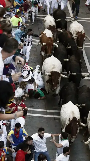 Los toros de la ganadería de Jandilla en el cuarto encierro de San Fermín Los toros de la ganadería de Jandilla en el cuarto encierro de San Fermín