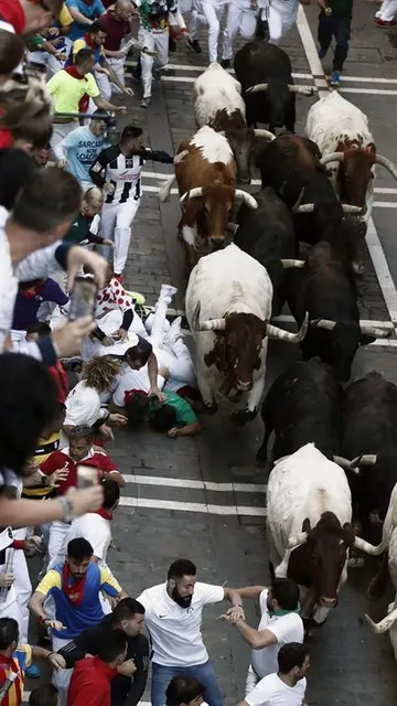 Los toros de la ganadería de Jandilla en el cuarto encierro de San Fermín