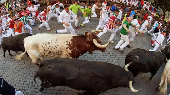 Los toros de la ganadería de Jandilla en el cuarto encierro de San Fermín Los toros de la ganadería de Jandilla en el cuarto encierro de San Fermín