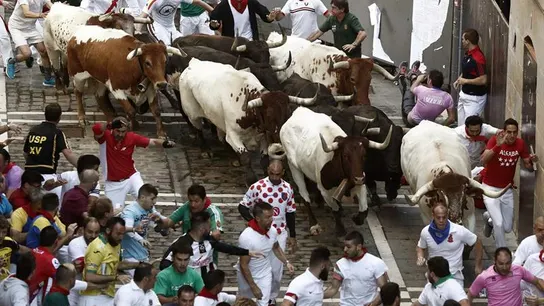Los toros de la ganadería de Jandilla Los toros de la ganadería de Jandilla